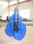 F4-cut Gate Valve